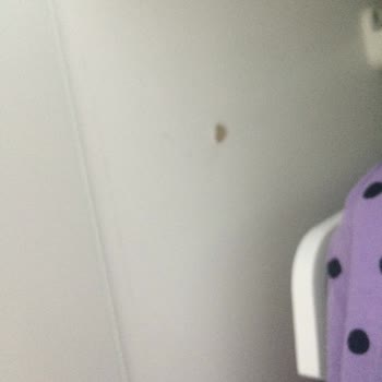 IKEA Ürünlerinin Kullanışsızlığı, Müşteride Hep Kusuru Bulması