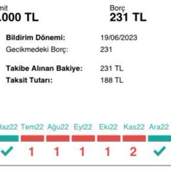 Ziraat Bankası Temel Destek Kredisi Sorumsuzluğu