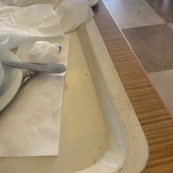 Adalya Dinlenme Tesisleri Hijyenik Olmayan İşletme