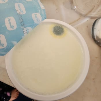 A101 Birşah Küflenmiş 500 Gr Yoğurt