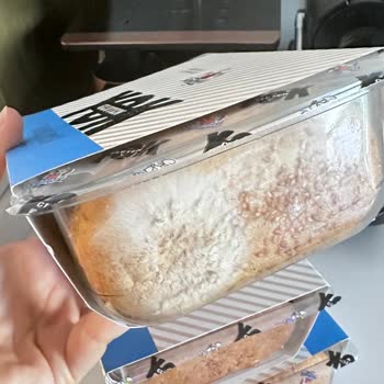 Sinangil Gıda Küflü Ekmeği