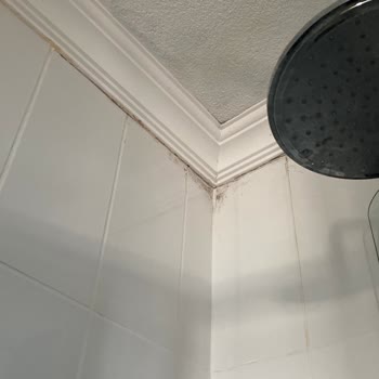 Arslan Temizlik (Kocaeli) Nasıl Bir Temizlik Anlayışı Bu