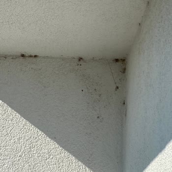 Arslan Temizlik (Kocaeli) Nasıl Bir Temizlik Anlayışı Bu