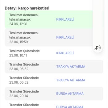 MNG Kargo Teslimatın Yapılması Dendiği Halde Yapılamadığı Hakkında