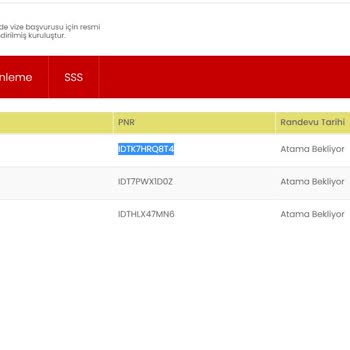 iData Ankara Ulusal Vize Aile Birleşimi Randevu Ataması