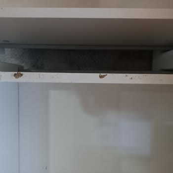 IKEA Hermes Divan Mobilya Ve Yatağı