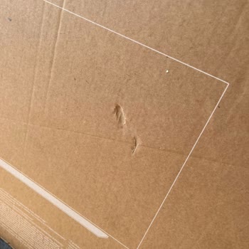 Borusan Lojistik Meyve Taşır Gibi Kargo Taşıyor!