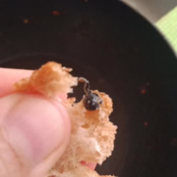 BİM İnsan Sağlığı Bu Kadar Ucuz Mu