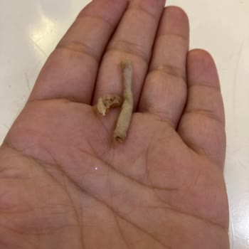 The Bull Burger Üründen Yabancı Madde Çıkması