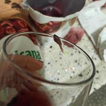 Tropicana Meyve Suyu İçinde Küf Benzeri Şeyler