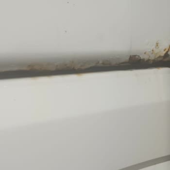 Ali Osman Ulusoy Obilet Mağduriyetle İlgilenmiyor