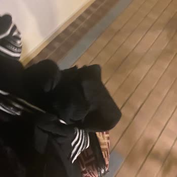 Labranda TMT Bodrum Otelinde Yataktaki Kurtlanmalar