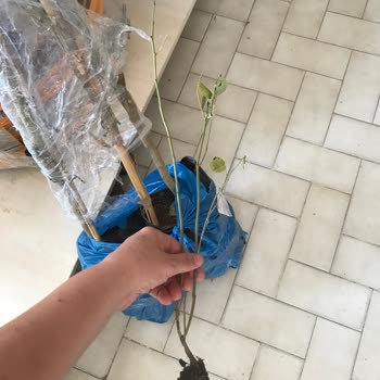 Fidancidan.com Eksik Ve Kötü Ürün