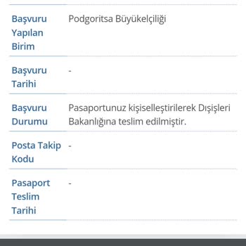 Dışişleri Bakanlığı Pasaportunuz Kişiselleştirilerek Dışişleri Bk Teslim Edilmiştir.
