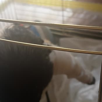 Doğa Koruma Ve Milli Parklar Görevini Yapmıyor