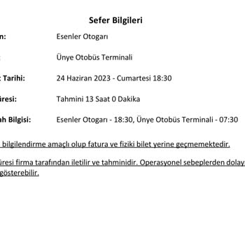 İstanbul Seyahat Araç Ve Şoför Sorunu