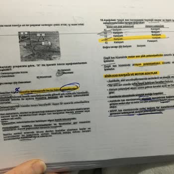 Çiçek Sepeti Cüzdandan Para Çekip Çiçek Yollamaması