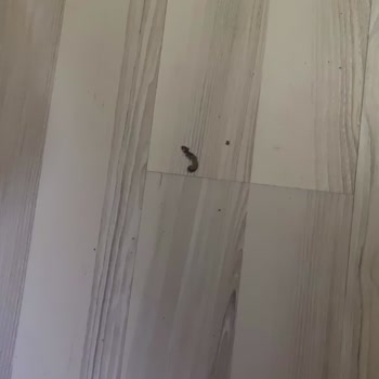 Otelz Sorumluluk Ve İlgisizlik, Tek Başımızayız!