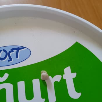 Dost Yarım Yağlı Yoğurt İçinden Çocuk Dişi Çıktı