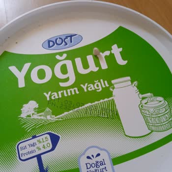 Dost Yarım Yağlı Yoğurt İçinden Çocuk Dişi Çıktı
