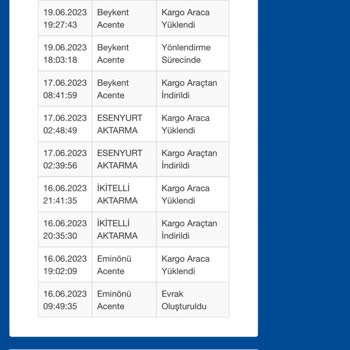 Sürat Kargo'ya Deve Verilsin