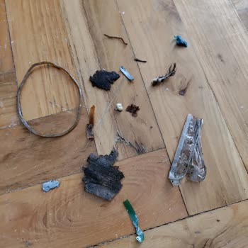 Kirpipet Üründen Çöpler Çıktı