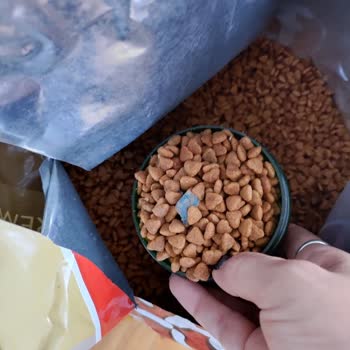 Kirpipet Üründen Çöpler Çıktı