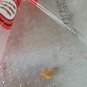 Kaşıkla Mantı İçinde Yabancı Madde