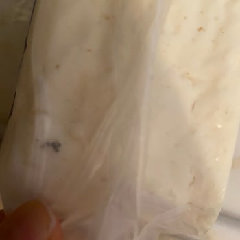 Altınkılıç Tam Yağlı Olgunlaştırılmış Klasik İnek Peyniri!