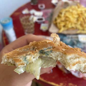 Burger King Küflü Ekmek Yanmış Patates