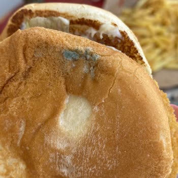 Burger King Küflü Ekmek Yanmış Patates