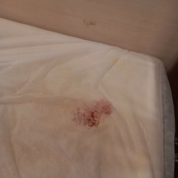 Nisan Kuaför Üslup Bozuk Baştan Savma İş