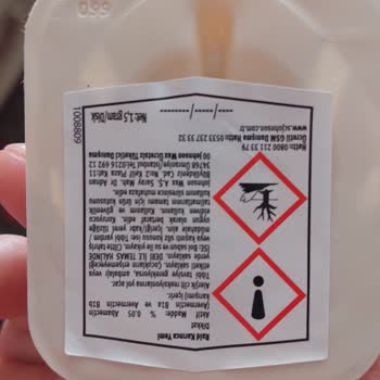 Raid Karınca Yemi İşe Yaramıyor