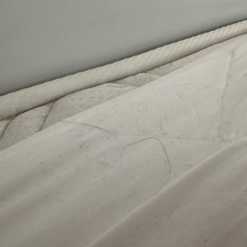 Crystal Hotels Temizlik Yok