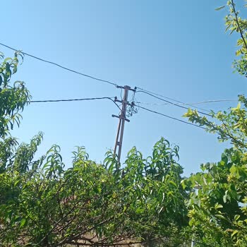 Trakya Elektrik Üretim Tic A. Ş. Sokak Aydınlatma Sokak Lambası İstiyoruz