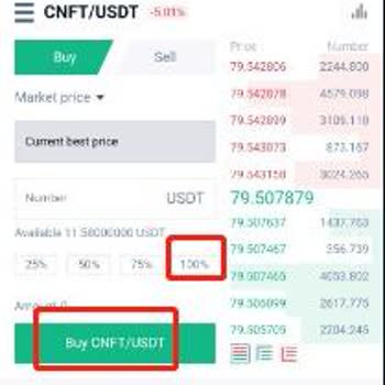 Paretone Capital Çinli Bir Kız Tarafından Cnft Yanıltılması