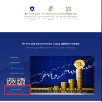 Paretone Capital Çinli Bir Kız Tarafından Cnft Yanıltılması