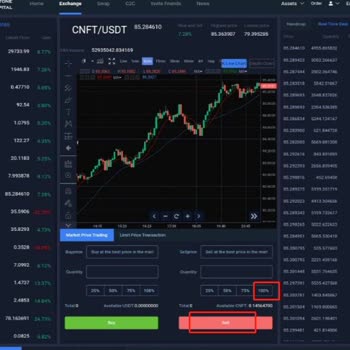 Paretone Capital Çinli Bir Kız Tarafından Cnft Yanıltılması