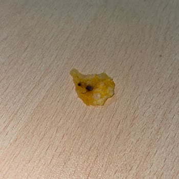 Lays Baharatlı Cipsten Böcek Çıktı