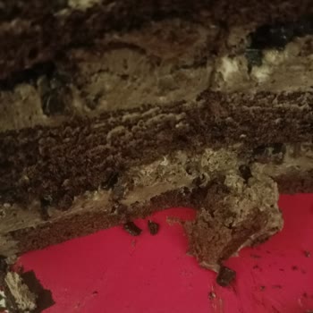 Şahinler Simit Patisserie Ekşimiş Pasta Bayat Pasta