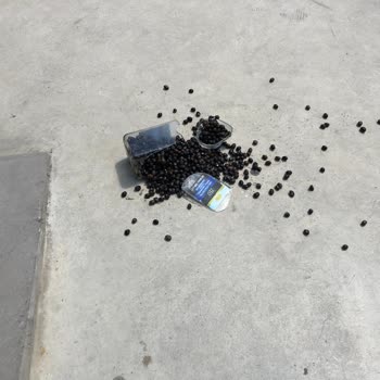 A101 Taşıma Kulpu Çatlak Olan Zeytin Kavanozunun Düşüp Kırılması