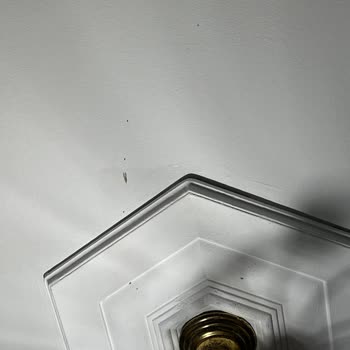 Bahçelievler Belediyesi'nde Sineklerden Durulmuyor
