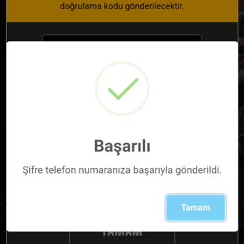 Zula Kurtarma E-posta Ve SMS Gelmiyor