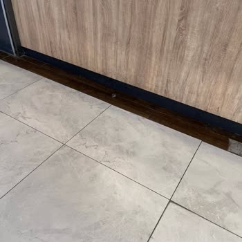 Acity Alışveriş Merkezi AVM Yemek Katında Fare