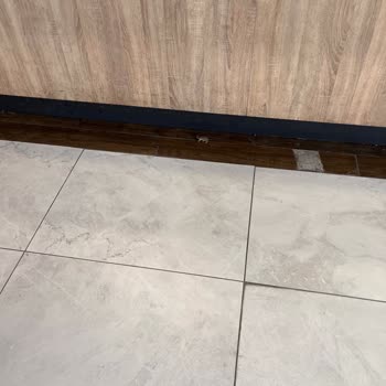 Acity Alışveriş Merkezi AVM Yemek Katında Fare