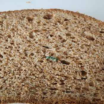 Uno Ekmek Ekmekte Yabancı Cisim