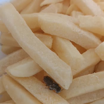 BİM Patates Paketinden Dönmüş Arı Ve Sinek Çıkması