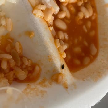 Bakırköy Dr. Sadi Konuk Eğitim Ve Araştırma Hastanesi Yemeklerde Böcek Çıktı