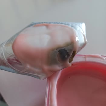 Sütaş Bozuk Puding Küflenmiş