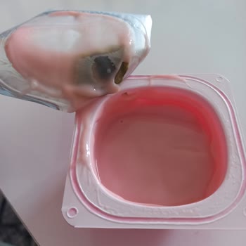 Sütaş Bozuk Puding Küflenmiş